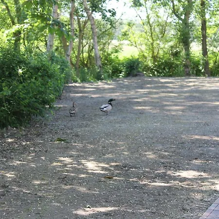 2 Im Boehler Haubarg *